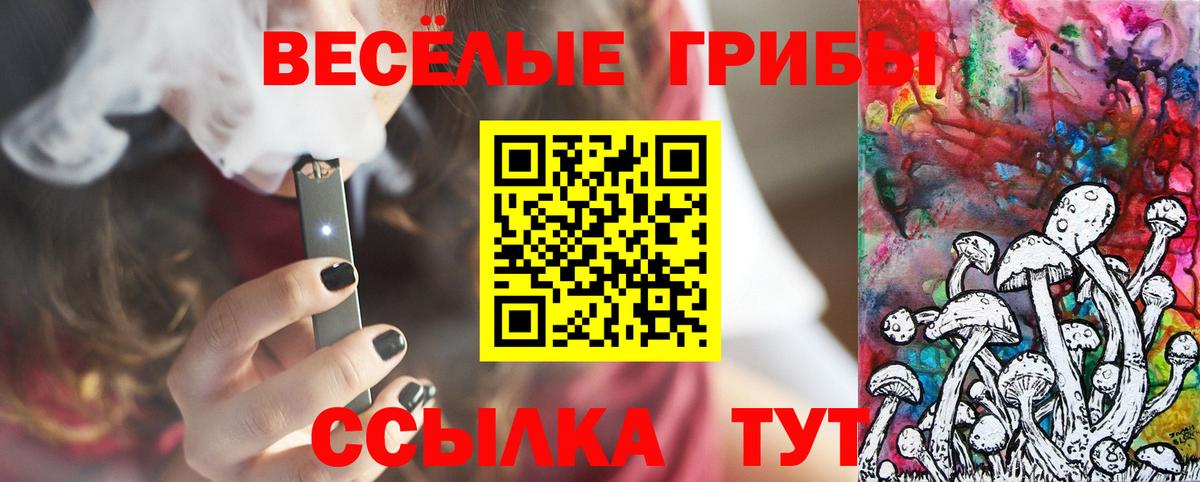 Псилоцибиновые грибы Psilocybe  Вход с VPN  Реутов 